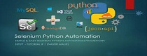 Python